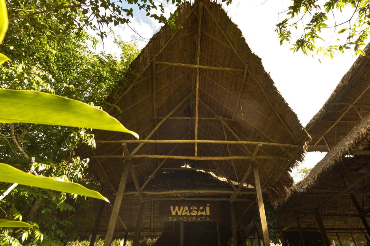 Wasai Tambopata Villa Bagian luar foto